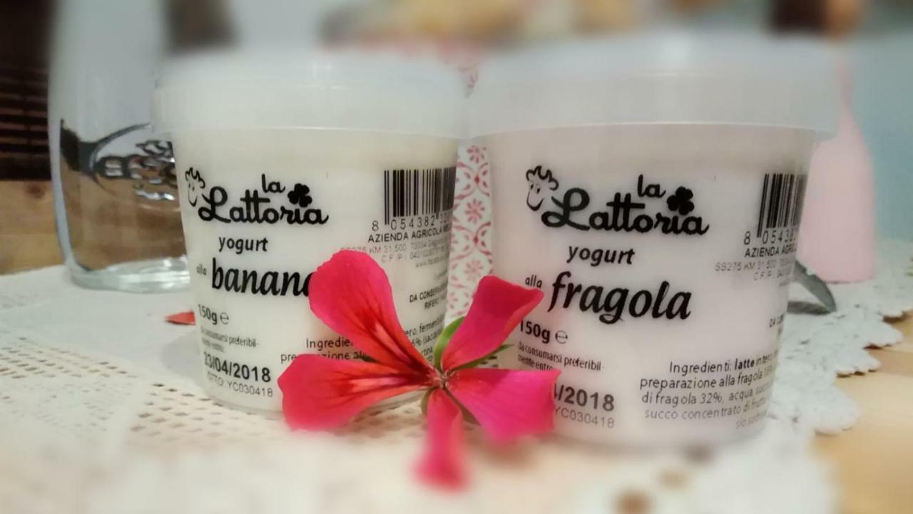 Li Suluri Bed & Breakfast Lecce Bagian luar foto